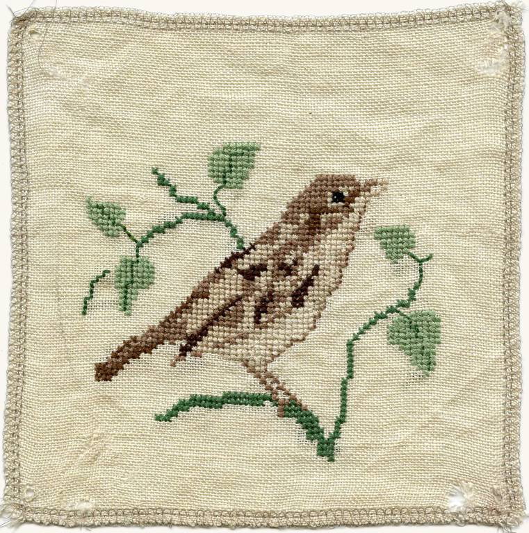 vogels-van-Millingen05a_vgto