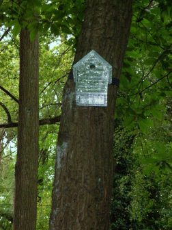 Hello Goodbye: vogelhuisjes, -monumenten, - follies voor GBK-tentoonstelling in NOM over migratie